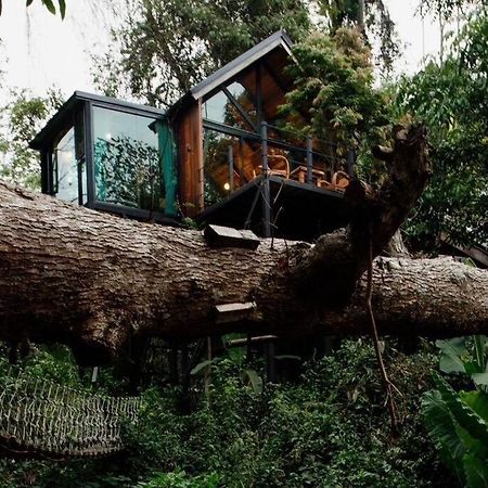 Doi Saket Wilderness Treehouse 빌라 외부 사진