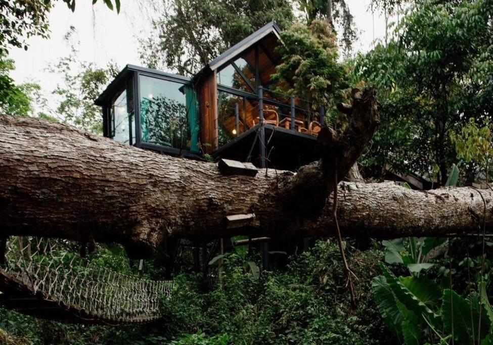 Doi Saket Wilderness Treehouse 빌라 외부 사진