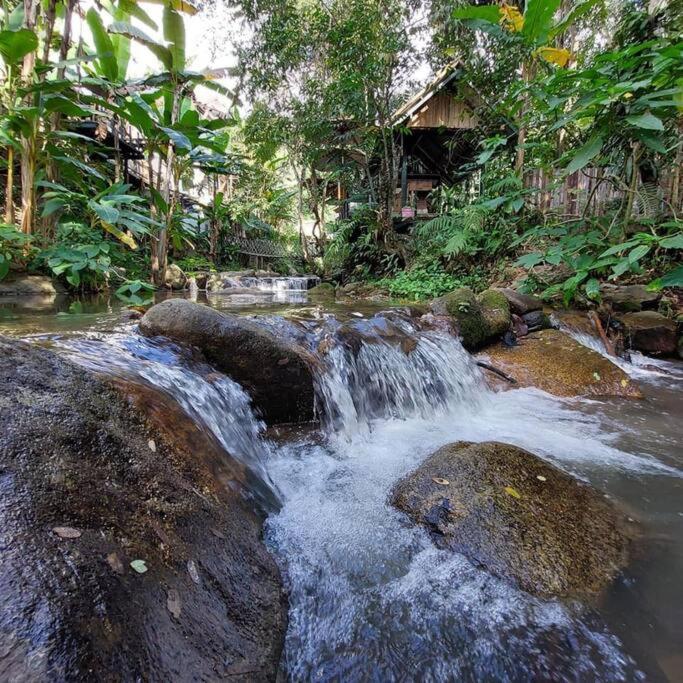 Doi Saket Wilderness Treehouse 빌라 외부 사진