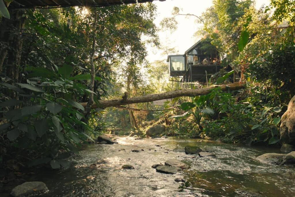 Doi Saket Wilderness Treehouse 빌라 외부 사진