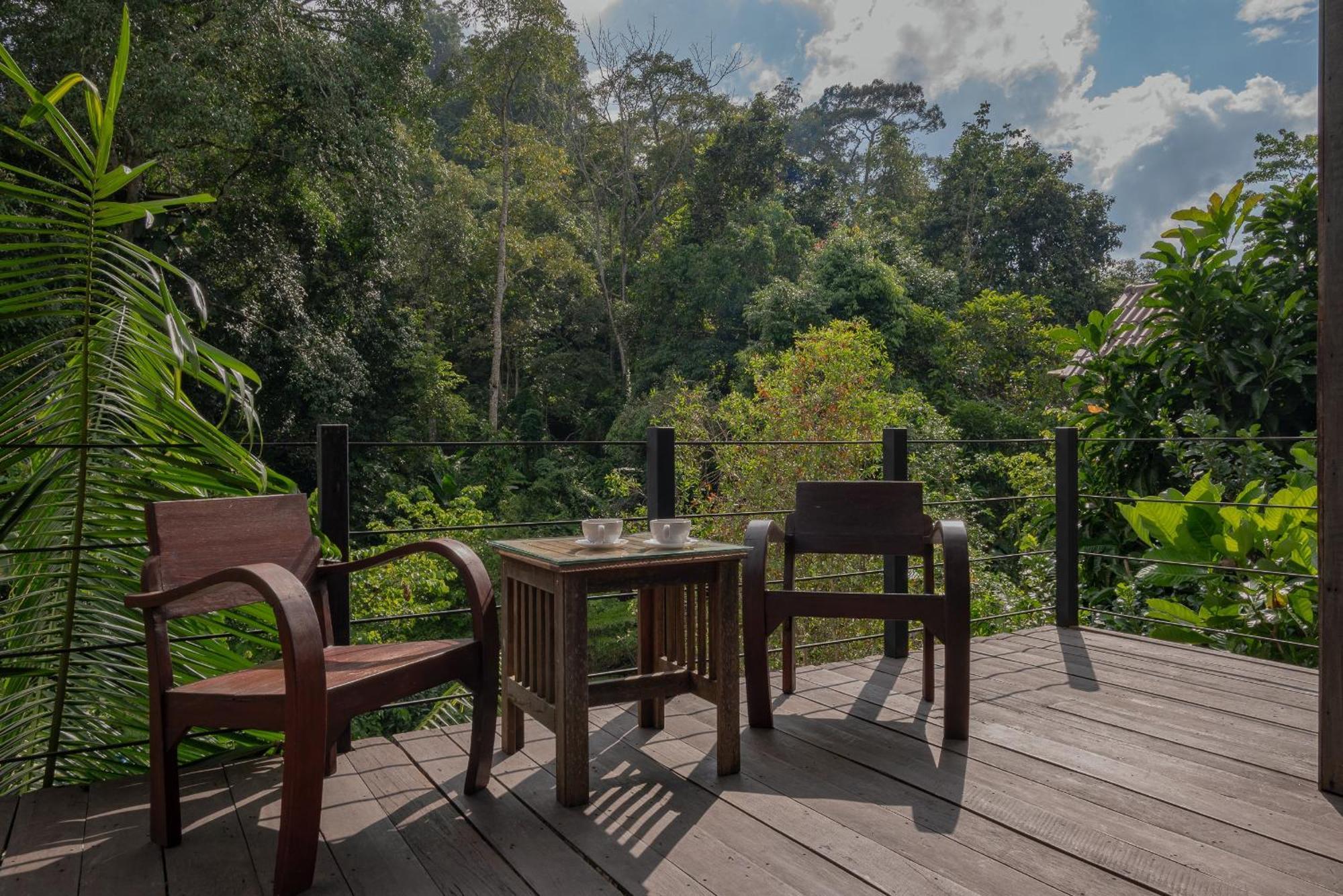 Doi Saket Wilderness Treehouse 빌라 외부 사진